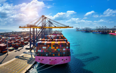 Navigating the Complexities of International Trade with TranspoTrade